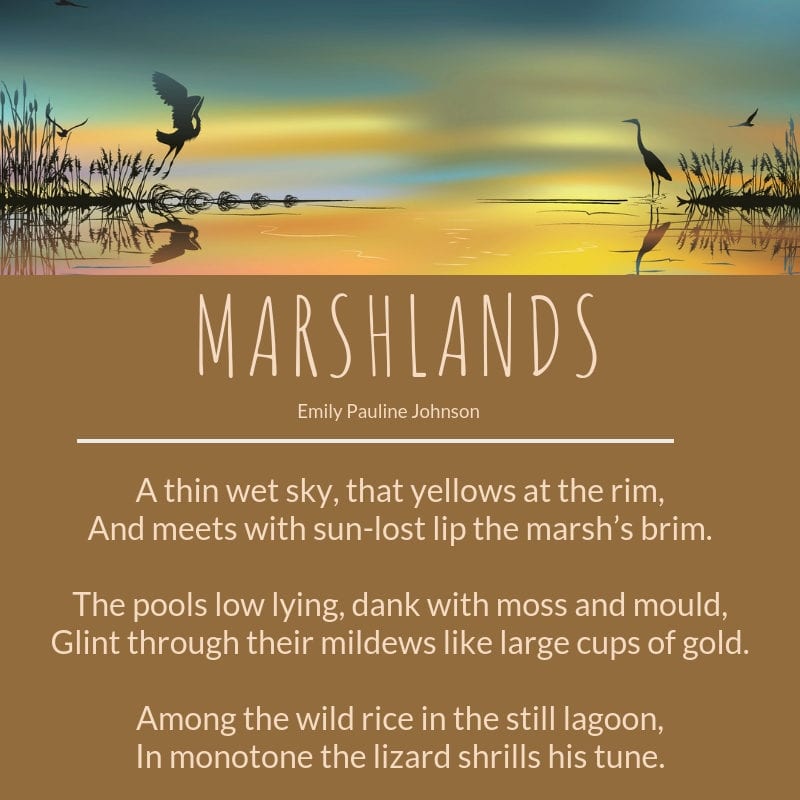 Marshlands Poem Questions And Answers - PELAJARAN