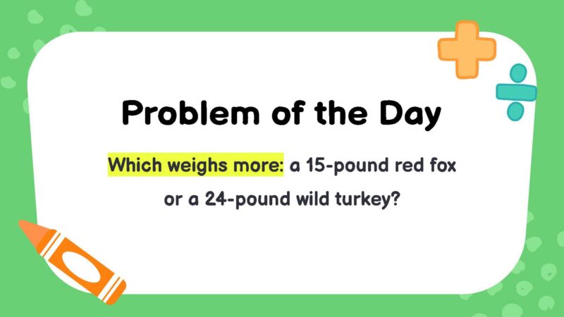 Which weighs more? A 15-pound red fox or a 24-pound wild turkey?