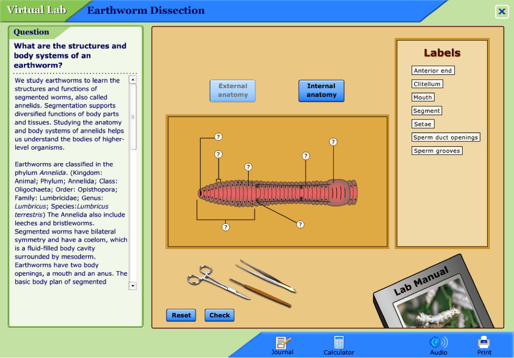 mcgraw hill virtual lab frog dissection