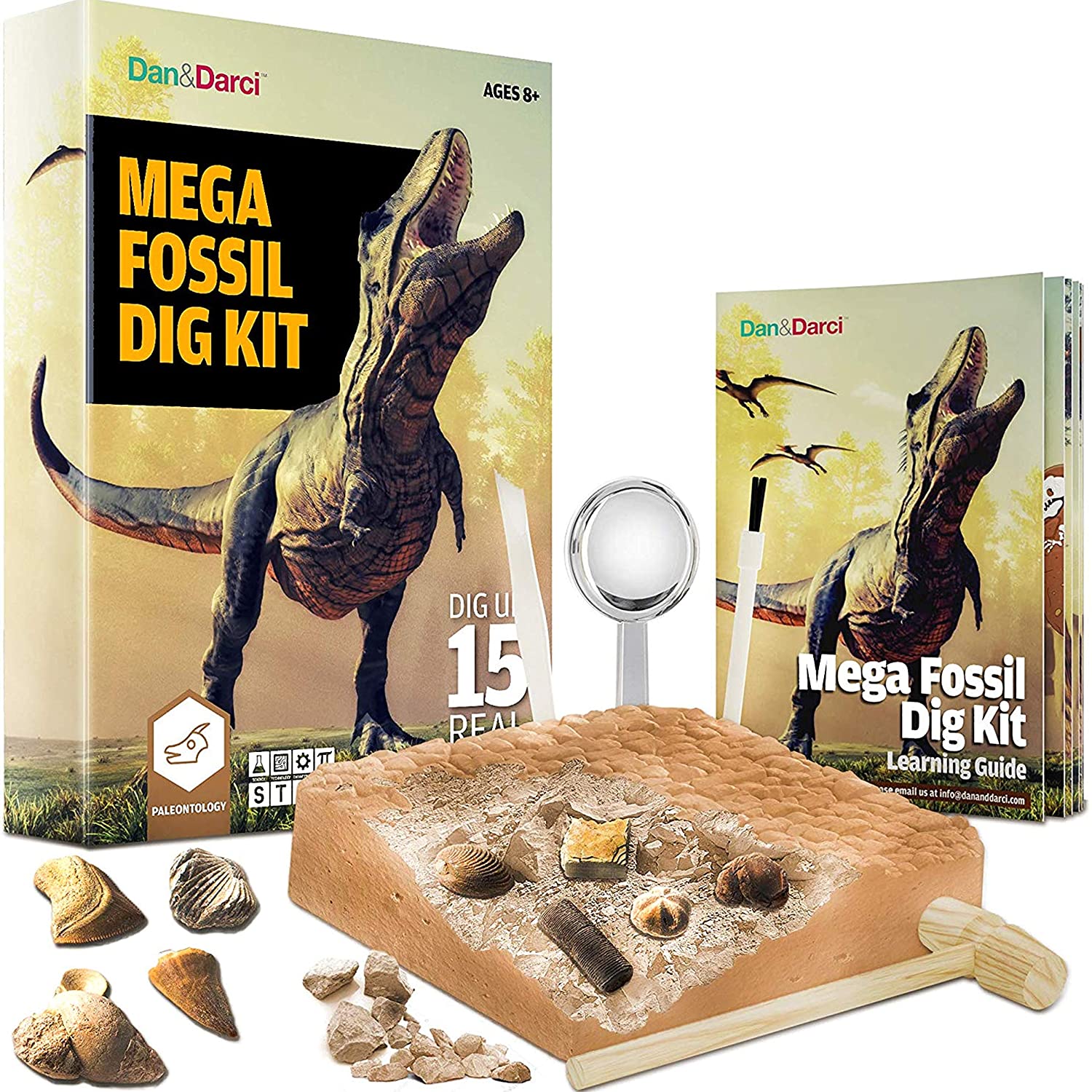 make your own fossil dig kit