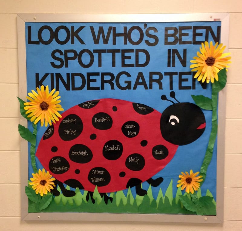 Ladybug bulletin board with student names on spots. Text reads "Look Who's Been Spotted in Kindergarten"
