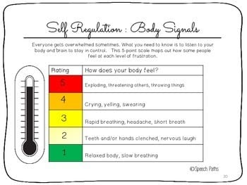 Zone Of Regulation Chart