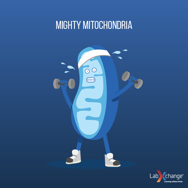 Mighty mitochondria science jokes