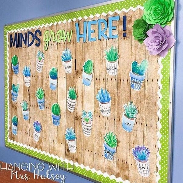 Shiplap wood classroom accent wall featuring cacti and "minds grow here"