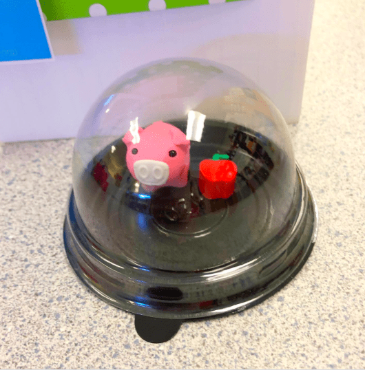 a piggy desk pet inside of a clear container