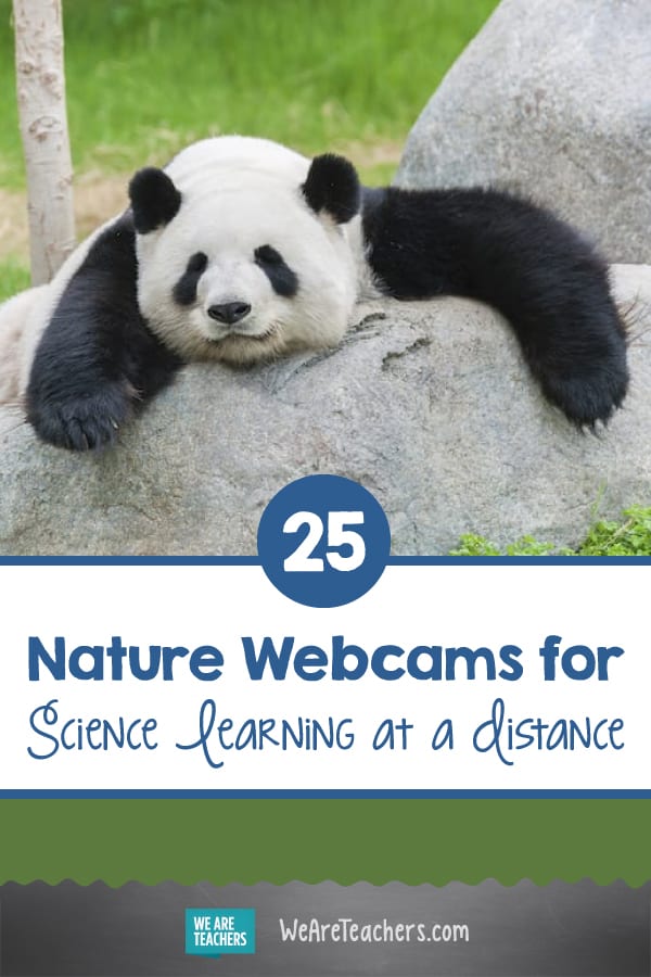 The Nature Webcams for Science Learning a Distance