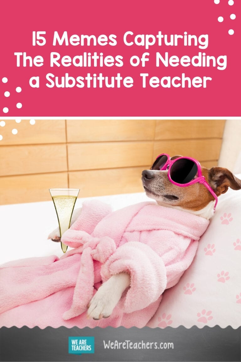 15 Substitute Teacher Memes That Are All Too Real   Needing Substitute 768x1152 