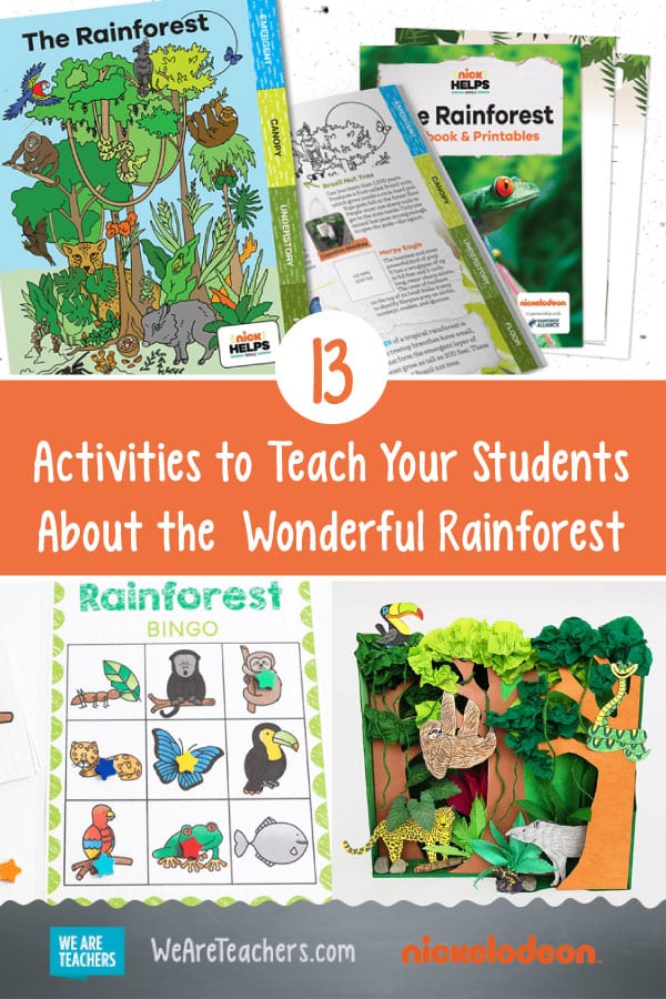 13 Activities to Help Teach Your Students About the Wild and Wonderful Rainforest
