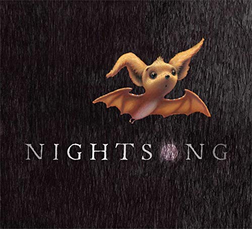 Cover of Nightsong by Ari Berk- 4th grade books