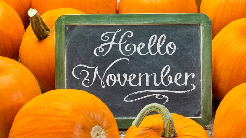 12 November Holidays You Never Knew About, But May Need to Celebrate
