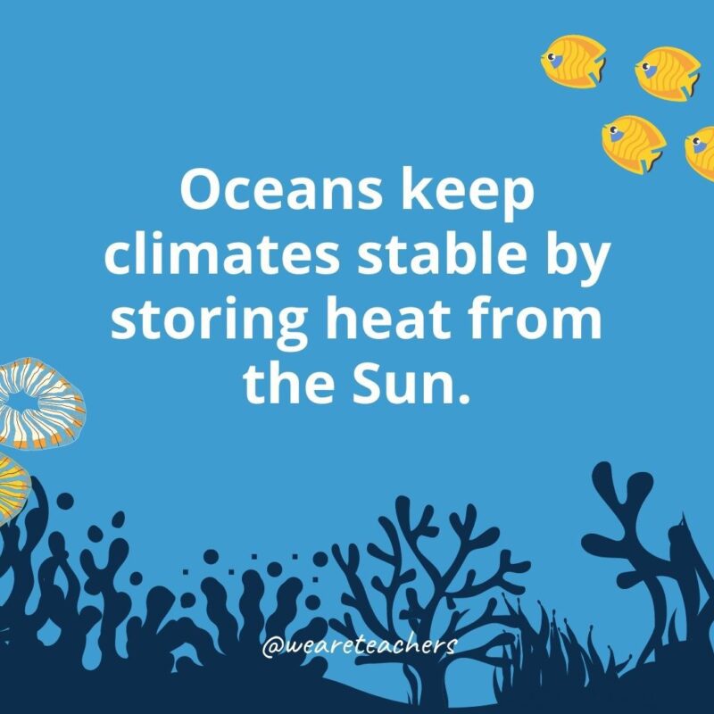 Oceans keep climates stable by storing heat from the Sun.