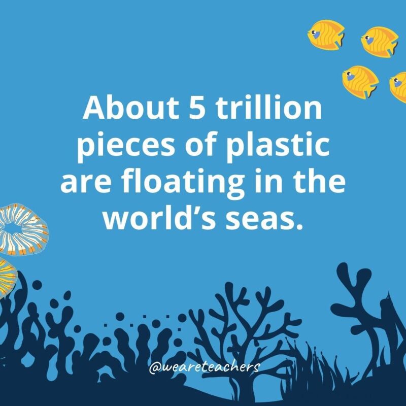 About 5 trillion pieces of plastic are floating on the world’s seas.