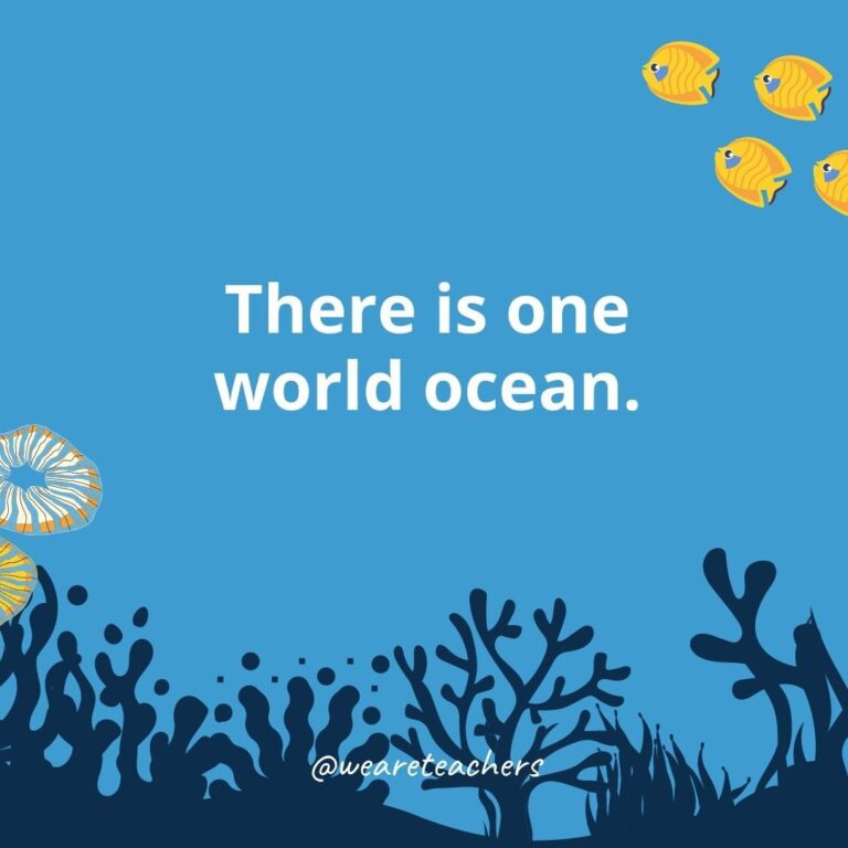10 FACTS ABOUT THE ATLANTIC OCEAN FOR KIDS visual data 6
