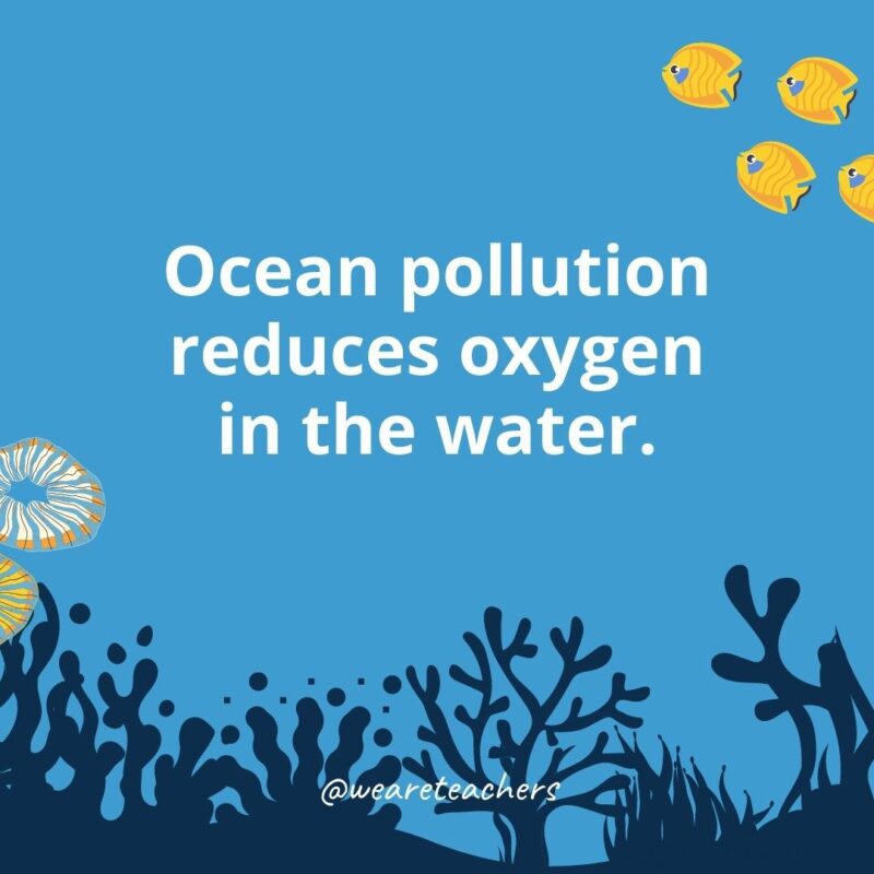 Ocean pollution reduces oxygen in the water.