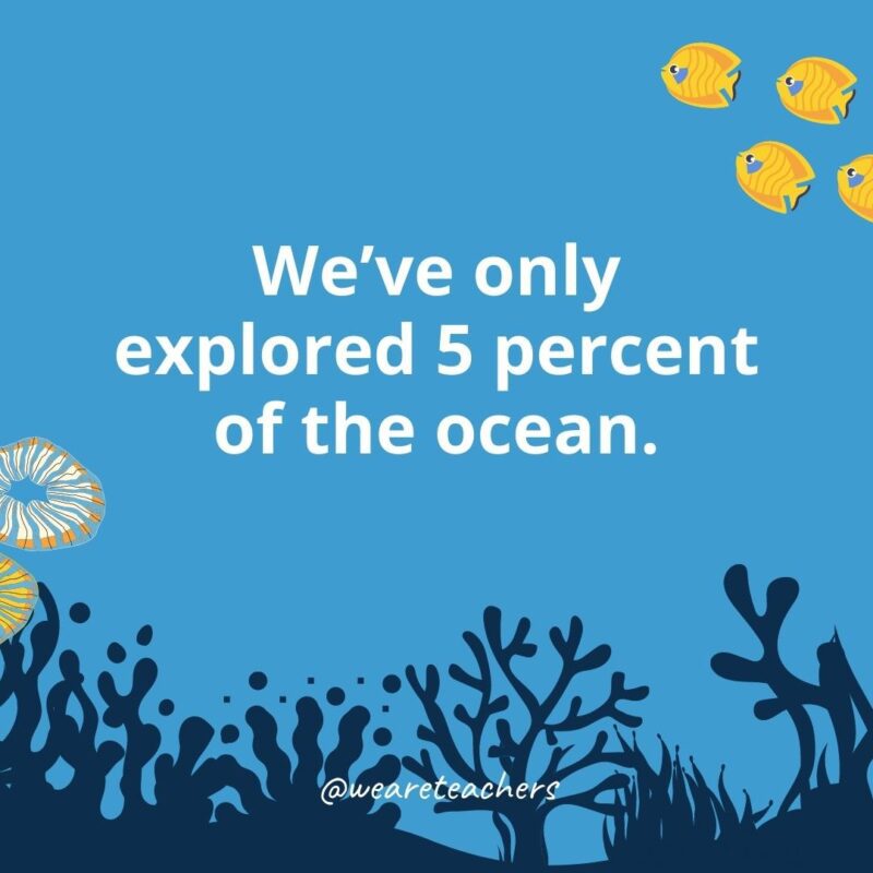 We’ve only explored 5 percent of the ocean.