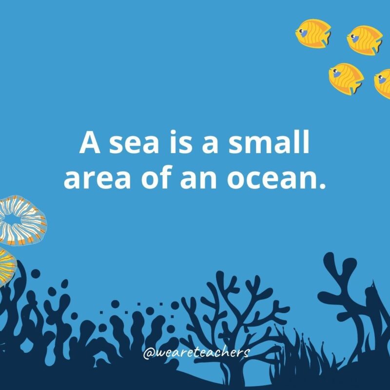 A sea is a small area of an ocean.