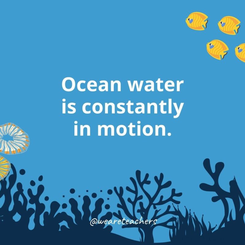 Ocean water is constantly in motion.