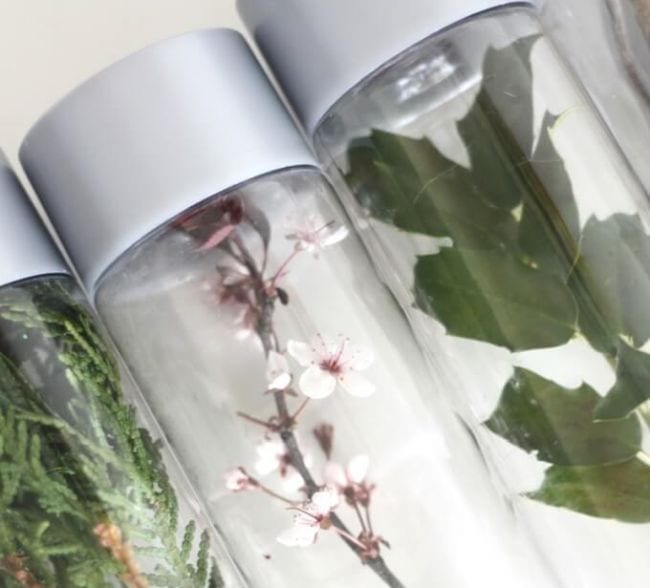 Water bottles with leaves and flowers inside