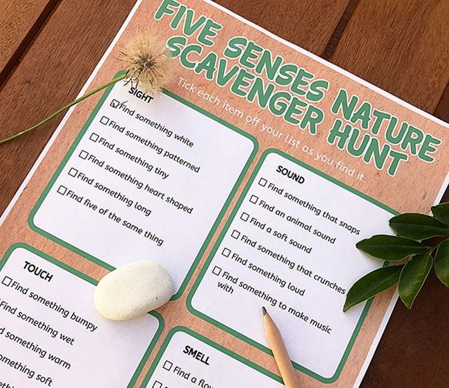 Printable Five Senses Nature Scavenger Hunt sheet with pencil, rock, leaves, and dandelion (Outdoor Science)