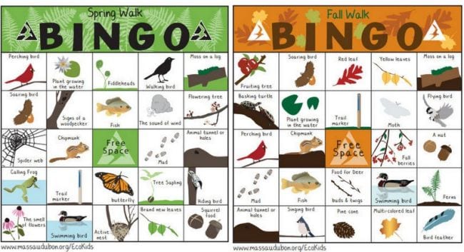 Spring Walk and Fall Walk printable Bingo cards (Outdoor Science)