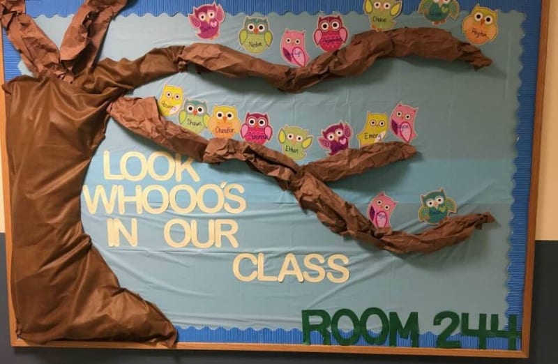 Bulletin board featuring a large 3-D tree with owl cutouts showing student names. Text reads Look Whooo's In Our Class Room 244.