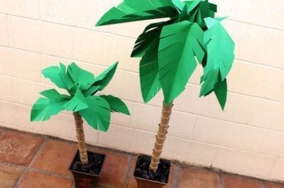 paper palm trees