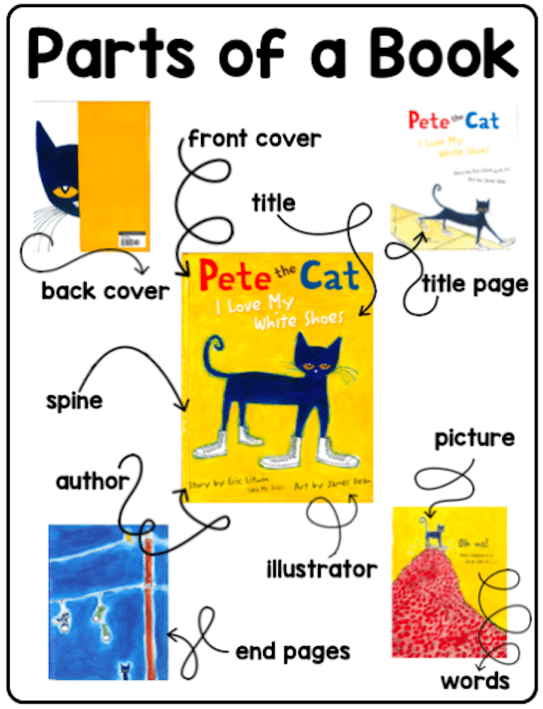 22 Kindergarten Anchor Charts You'll Want to Recreate