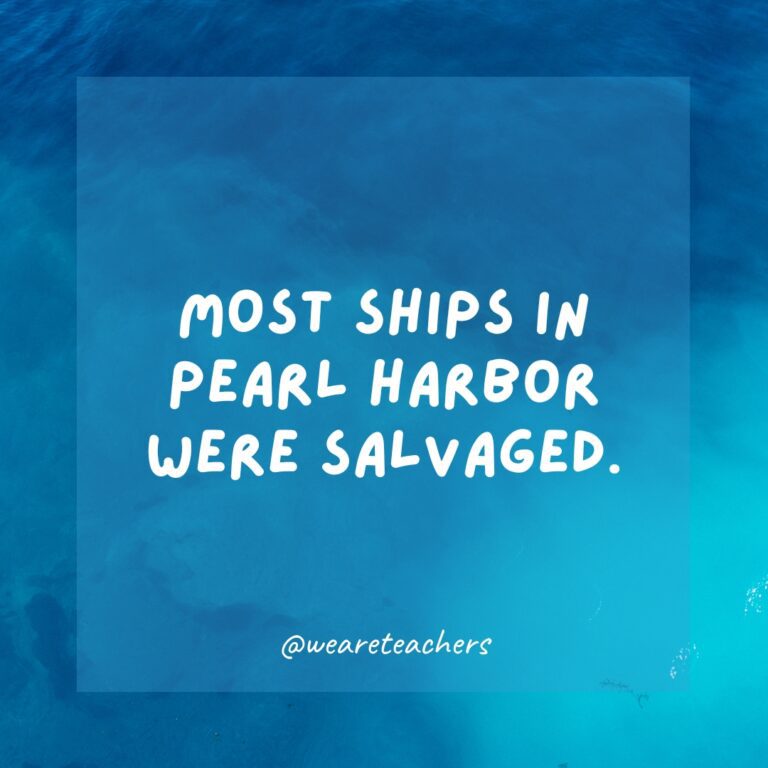 Pearl Harbor Facts for Kids of All Ages