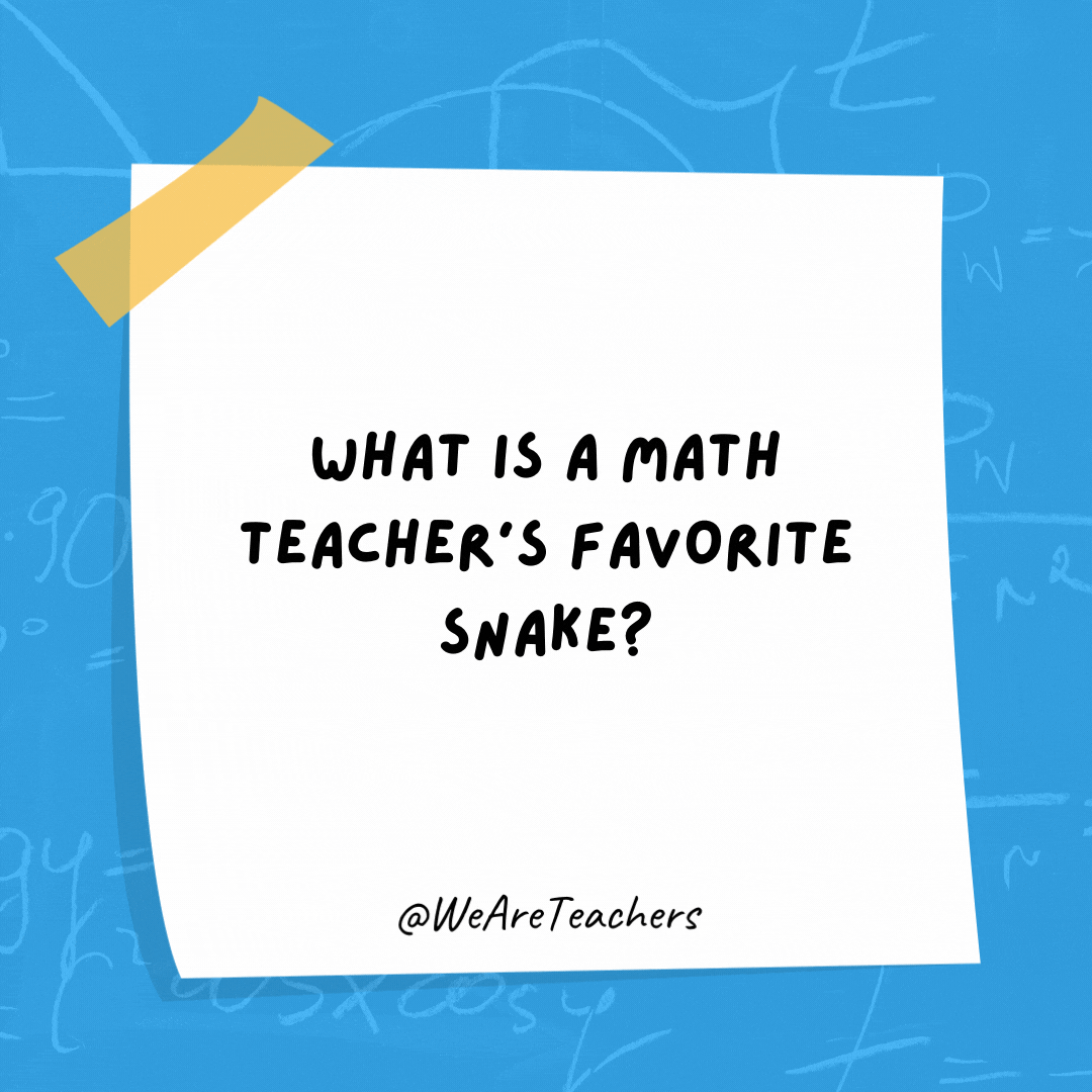 What is a math teacher’s favorite snake? A pi-thon.