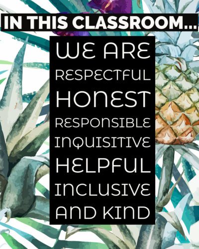 Image of Positive Classroom Culture Poster