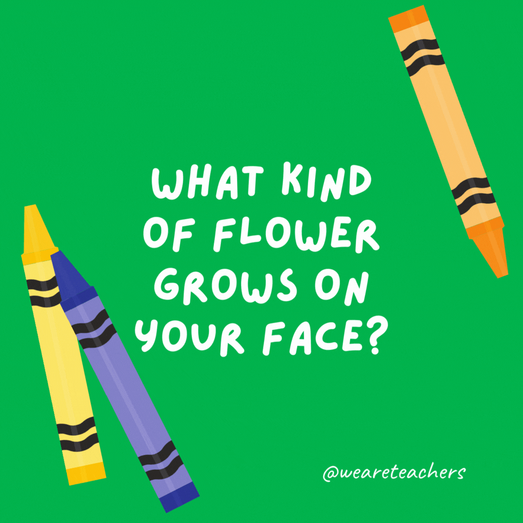 What kind of flower grows on your face?