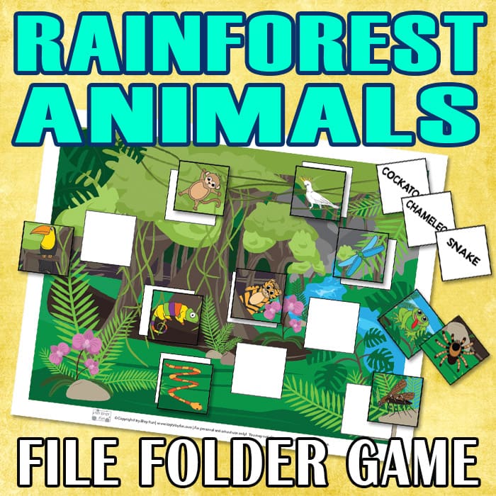 Rainforest animal file folder game