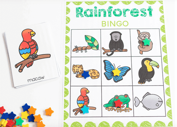 Rainforest Bingo