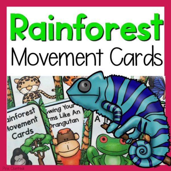 Rainforest animal movement cards