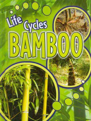 Ciclo de vida del bambú