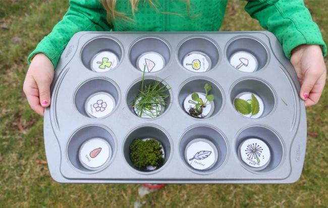 Student holding a muffin tin with pictures of items in each well