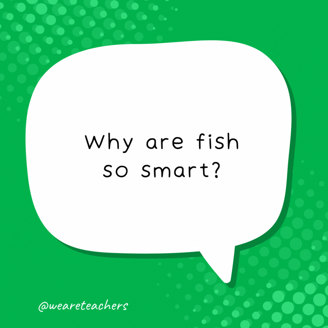 Why are fish so smart? Because they live in schools.