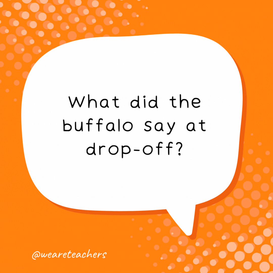 What did the buffalo say at drop-off? Bi-son.