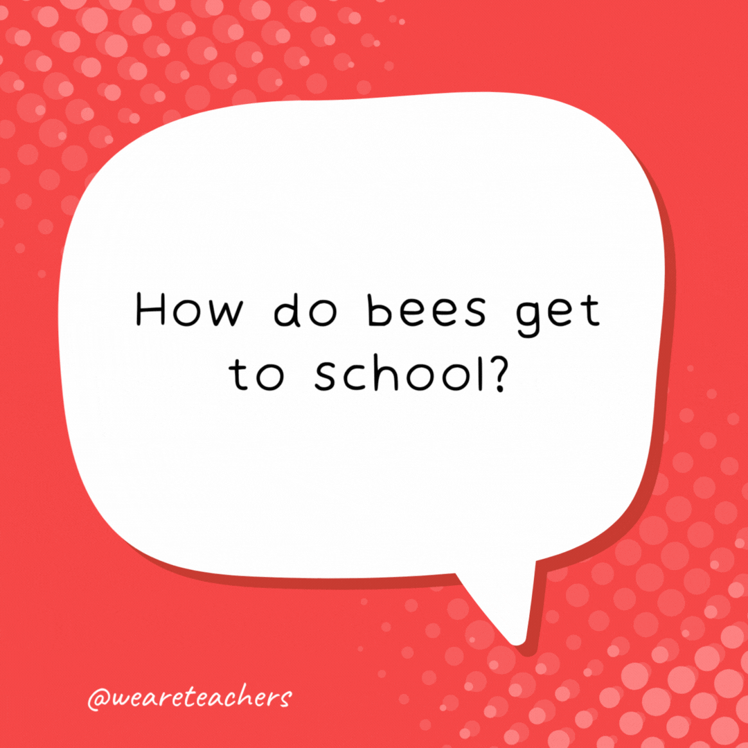 How do bees get to school? On the school buzz.