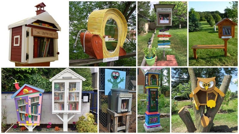 School Little Free Library Featured