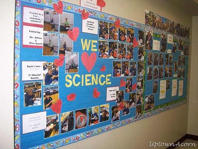 Science Bulletin Boards Acorn