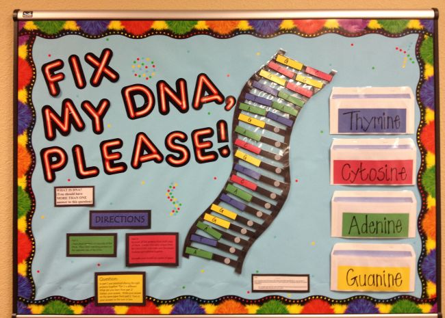 20 Of The Best Science Bulletin Boards And Classroom Decor Ideas