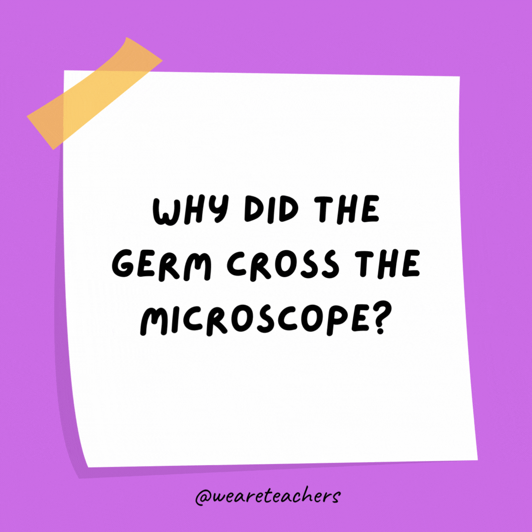 Why did the germ cross the microscope? To get to the other slide.