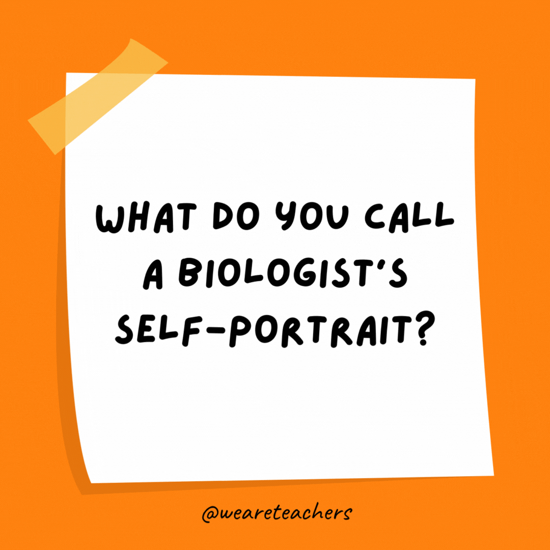 What do you call a biologist’s self-portrait? A cell-fie.