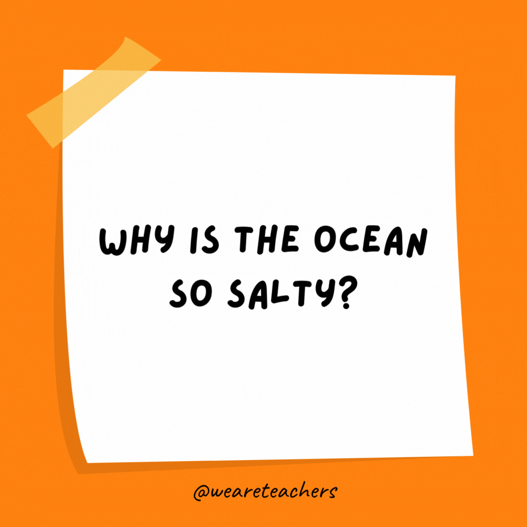 Why is the ocean so salty? The land never waves back.