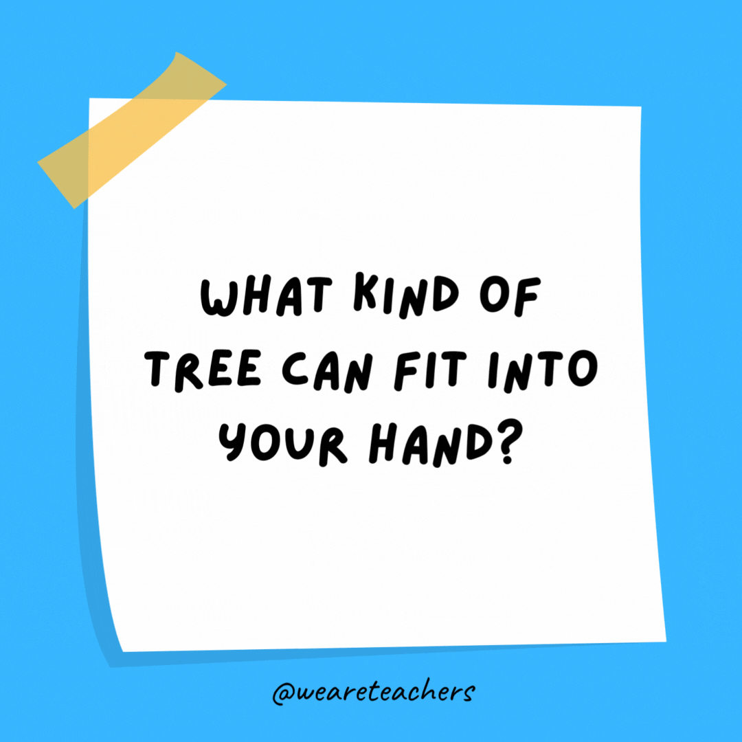 What kind of tree can fit into your hand? A palm tree.
