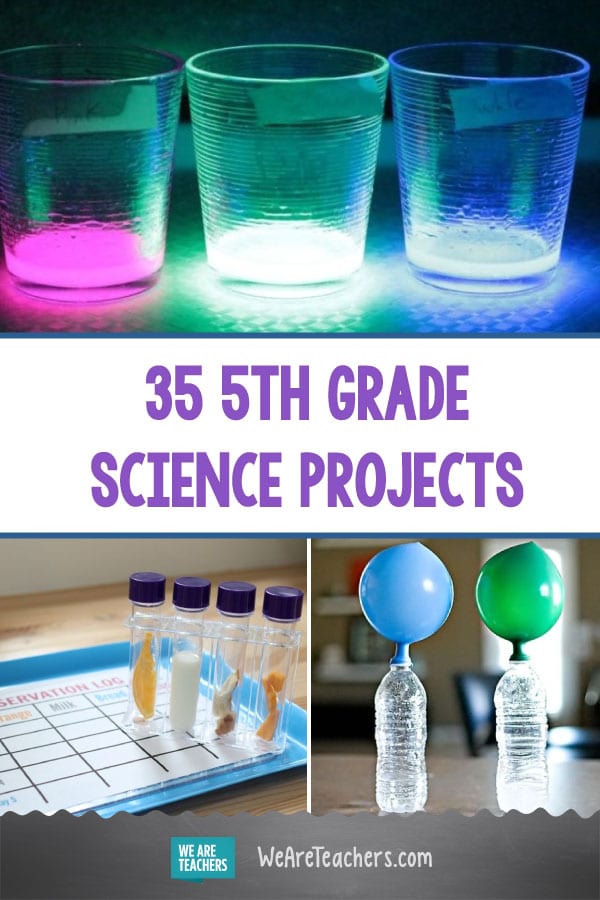 science homework for 5th grade