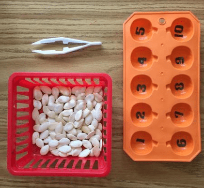 a numbered ice tray, a basket of pumpkin seeds and pair of tweezers