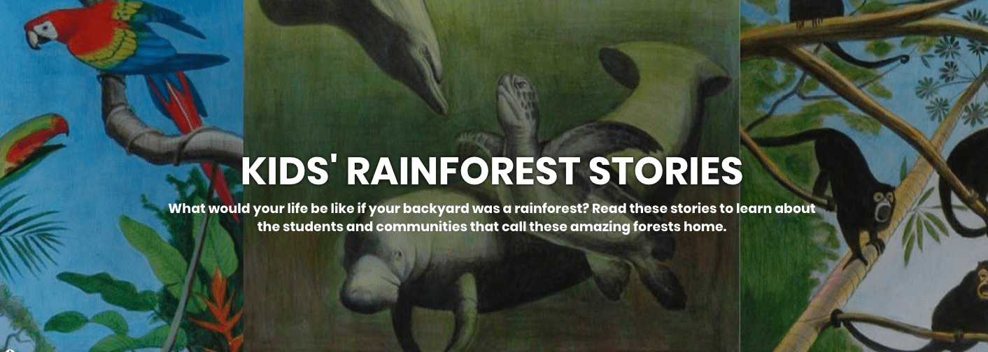 Rainforest Stories