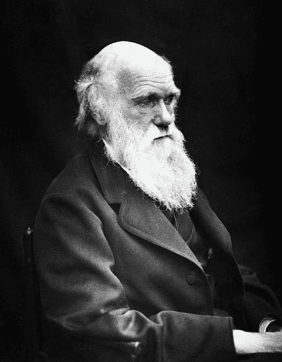 Profile of Charles Darwin